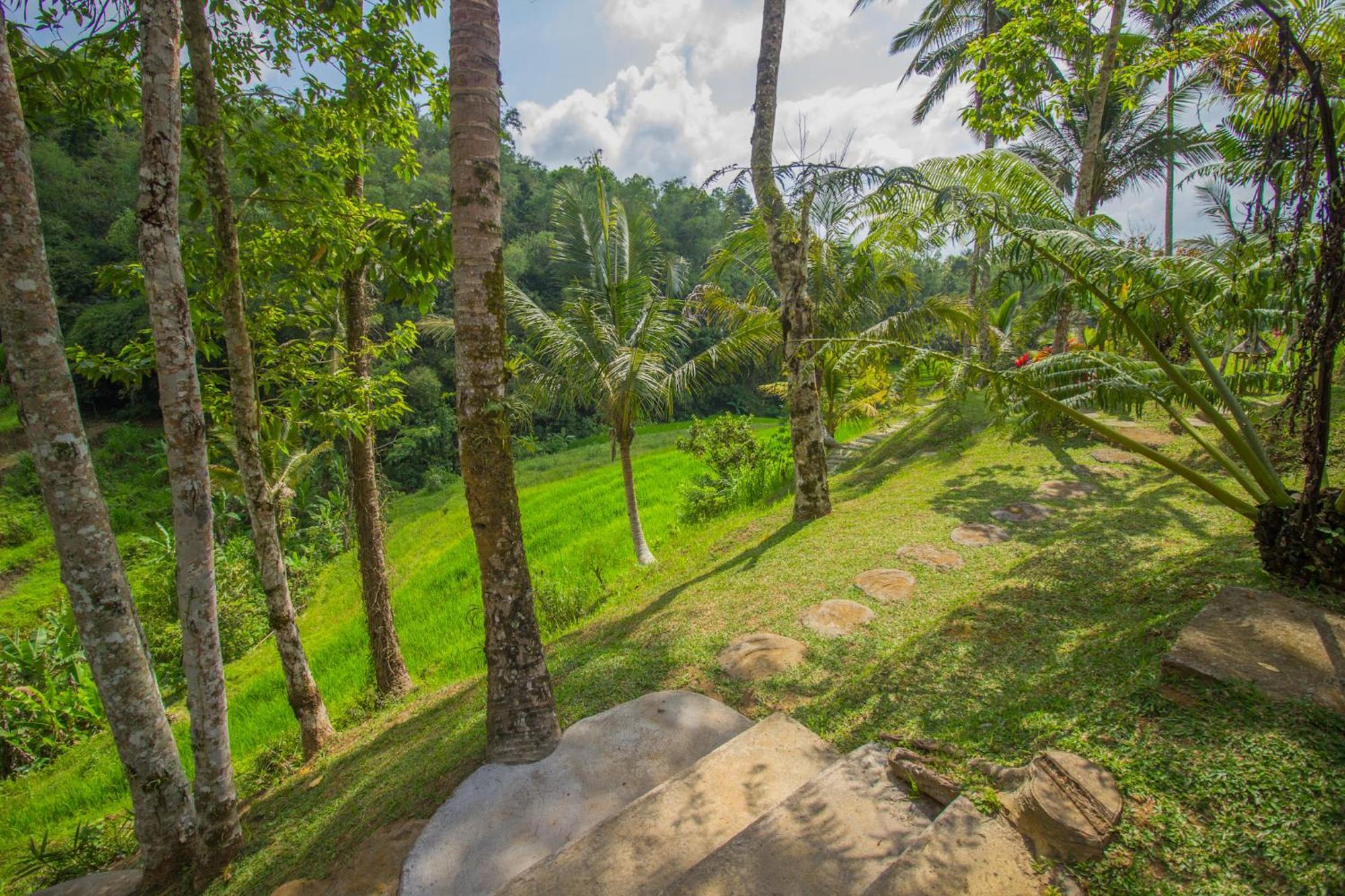 Pesona Bali Ecolodge By Agata Jatiluwih Exterior foto